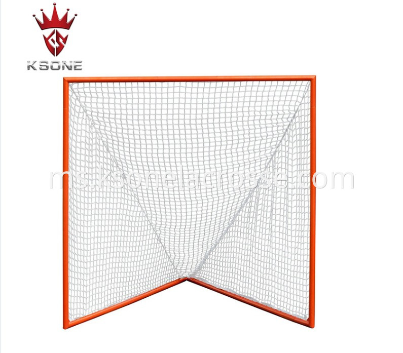 lacrosse goal 2